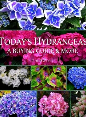 预订 Today’s Hydrangeas: A Buying Guide & More: 9781983635601
