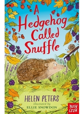 预订 A Hedgehog Called Snuffle 一只名叫“鼻涕虫”的刺猬: 9781839945052