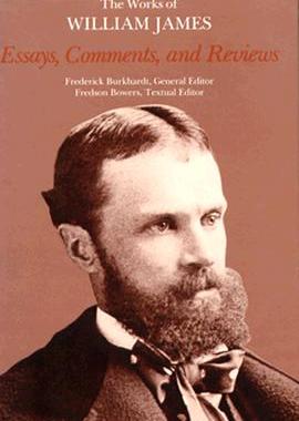 【预订】Essays, Comments, and Reviews 9780674265523