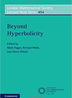 【预售】Beyond Hyperbolicity
