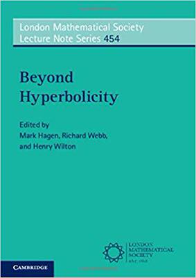 【预售】Beyond Hyperbolicity