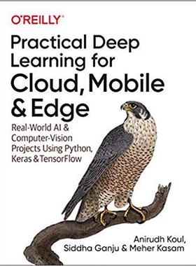 【预售】Practical Deep Learning for Cloud, Mobile, and Edge: Real-World AI & Computer-Vision Projects Using Python...