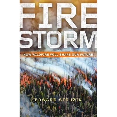 How Wildfire Will Shape Our Future