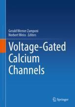【预订】Voltage-Gated Calcium Channels 9783031088803