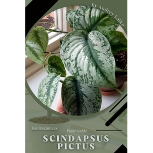 预订 Scindapsus Pictus: Plant Guide: 9798392095049