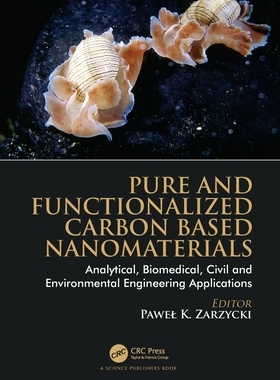【预订】Pure and Functionalized Carbon Based Nanomaterials 9780367532147