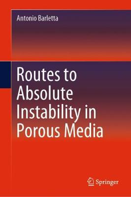 【预订】Routes to Absolute Instability in Porous Media