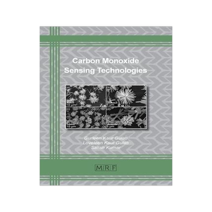 [预订]Carbon Monoxide Sensing Technologies 9781644901205