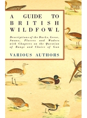 预订 A Guide to British Wildfowl - Descriptions of the Ducks, Geese, Swans, Plovers and Waders with Chapters on the Ques
