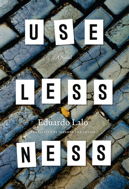 【预订】Uselessness 9780226207797