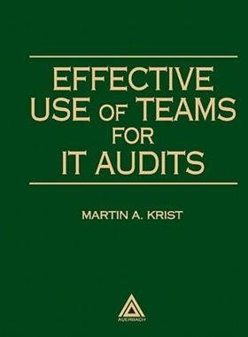 【预订】Effective Use of Teams for IT Audits