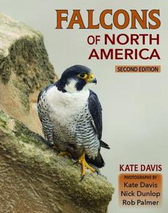 预订 America Falcons North 9780878427017