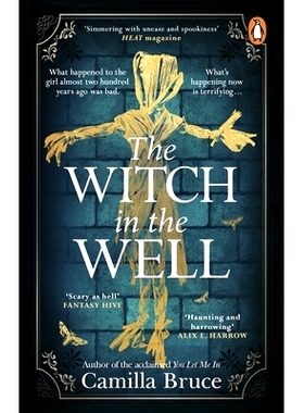 预订 The Witch in the Well: A deliciously disturbing Gothic tale of a revenge reaching out across the years: A delicious