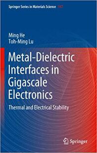 Dielectric Interfaces Electronics Metal Gigascale 9781461418115 预订