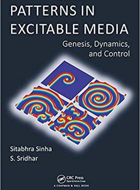 【预售】Patterns in Excitable Media