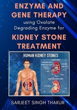 [预订]Enzyme and Gene Therapy Using Oxalate Degrading Enzyme for Kidney Stone Treatment 9784390712590