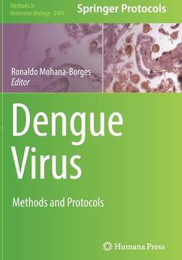 [预订]Dengue Virus 9781071618783