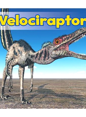 预订 Velociraptor: 9781484602157