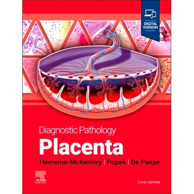 Placenta