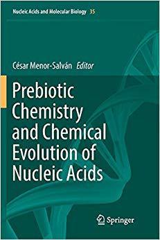 【预售】Prebiotic Chemistry and Chemical Evolution of Nucleic Acids
