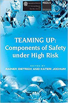 【预售】Teaming Up: Components of Safety Under High Risk
