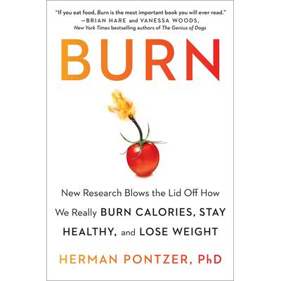 New Research Blows the Lid Off How We Re