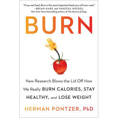 New Research Blows the Lid Off How We Re