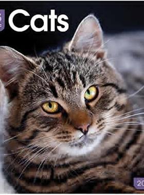 【预订】Cats 365 Days Square Wall Calendar 2022 9781529817843