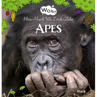 猿猴 9781605379609 How Look Alike Apes Much 我们长得真像 预订 哇 Wow