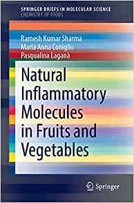 【预订】Natural Inflammatory Molecules in Fruits and Vegetables 9783030884727