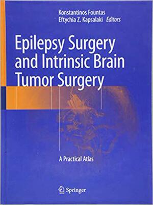 【预售】Epilepsy Surgery and Intrinsic Brain...