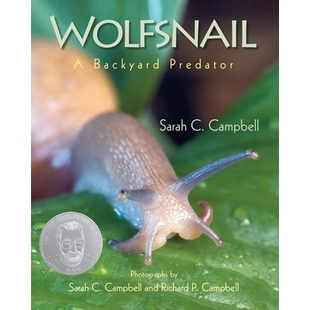 Predator 预订 Backyard 9781635928365 Wolfsnail