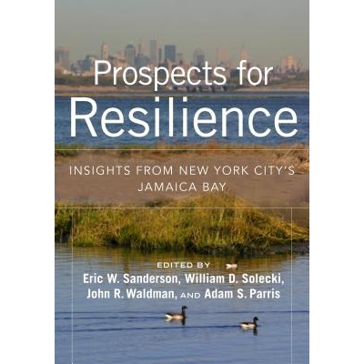 Insights from New York City’s Jamaica B