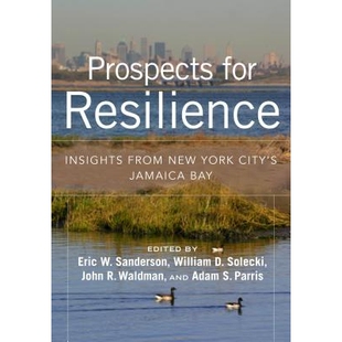 Insights York Prospects Resilience 洞悉 预订 适应前景：对纽约市牙买加海湾 from for Jamaica City’s New 平装 Bay