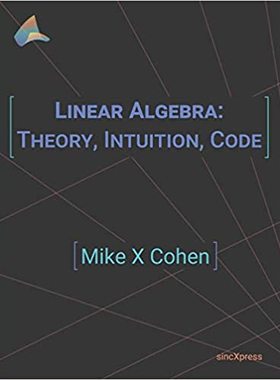 【预订】Linear Algebra: Theory, Intuition, Code