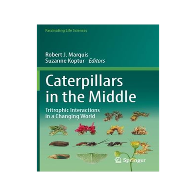 [预订]Caterpillars in the Middle 9783030866877