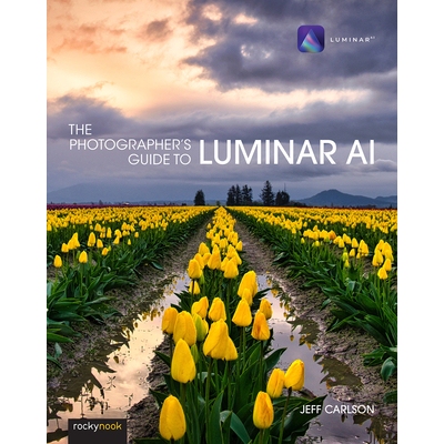 预订 Photographer’s Guide to Luminar AI Luminar AI 摄影师指南: 9781681987873