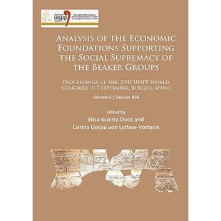Social Analysis Foundations 预订 Supremacy Proceedings the Groups XVII Economic Beaker Supporting