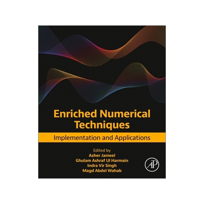 预订 Enriched Numerical Techniques: Implementation and Applications
