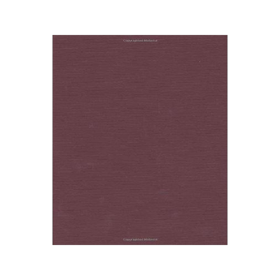 [预订]Lebesgue’s Theory of Integration 9780821829639