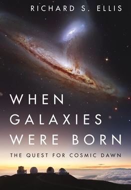 【预订】When Galaxies Were Born 9780691211305