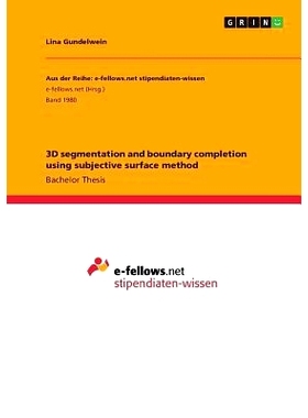 预订 3D segmentation and boundary completion using subjective surface method: 9783668256101