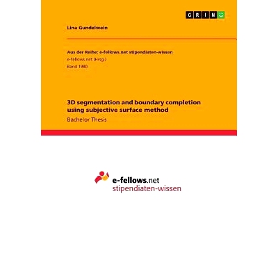 预订 3D segmentation and boundary completion using subjective surface method: 9783668256101
