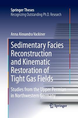 【预订】Sedimentary Facies Reconstruction and Kinematic Restoration of Tight Gas Fields