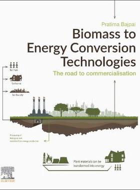 【预订】Biomass to Energy Conversion Technologies