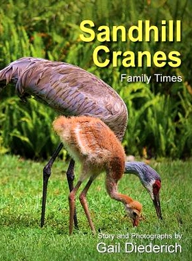 预订 Sandhill Cranes, Family Times: 9781614934554