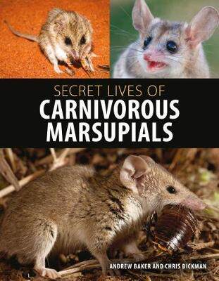 [预订]Secret Lives of Carnivorous Marsupials 9781486305148
