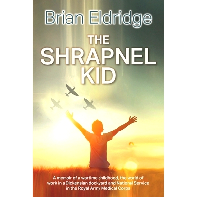 预订 The Shrapnel Kid: 9781861519771