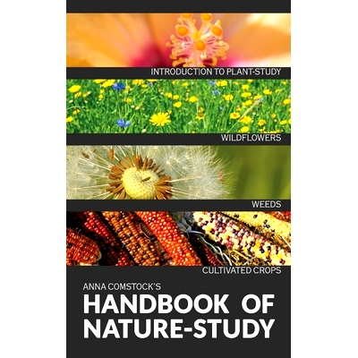 预订 The Handbook Of Nature Study in Color - Wildflowers, Weeds & Cultivated Crops: 9781922348609
