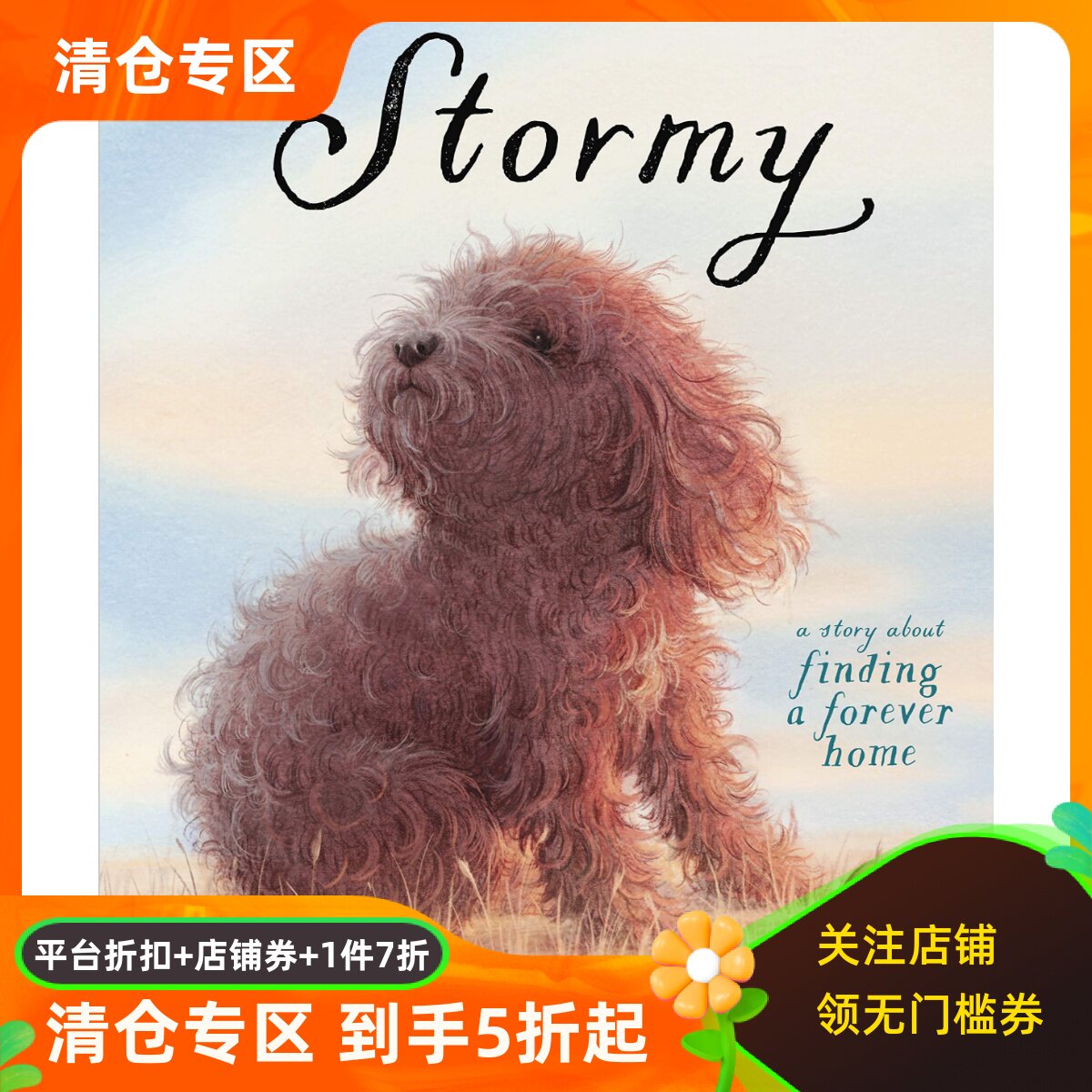 暴风雨寻找一个永远的家